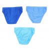 Lot de 3 slips paw patrol.